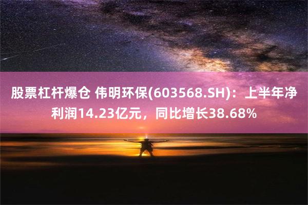 股票杠杆爆仓 伟明环保(603568.SH)：上半年净利润14.23亿元，同比增长38.68%