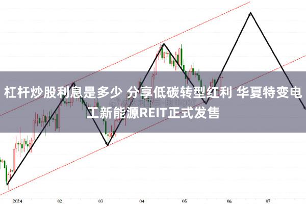 杠杆炒股利息是多少 分享低碳转型红利 华夏特变电工新能源REIT正式发售