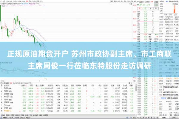 正规原油期货开户 苏州市政协副主席、市工商联主席周俊一行莅临东特股份走访调研