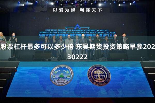 股票杠杆最多可以多少倍 东吴期货投资策略早参20230222