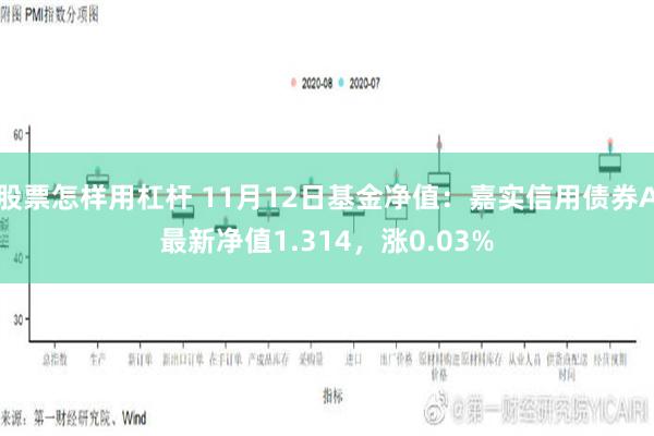 股票怎样用杠杆 11月12日基金净值：嘉实信用债券A最新净值1.314，涨0.03%