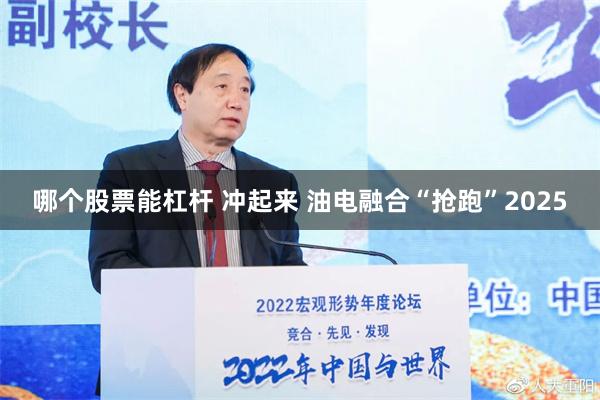 哪个股票能杠杆 冲起来 油电融合“抢跑”2025