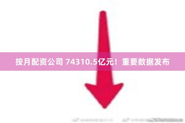 按月配资公司 74310.5亿元！重要数据发布