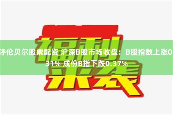 呼伦贝尔股票配资 沪深B股市场收盘：B股指数上涨0.31% 成份B指下跌0.37%